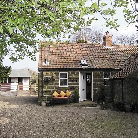 Moorlands *